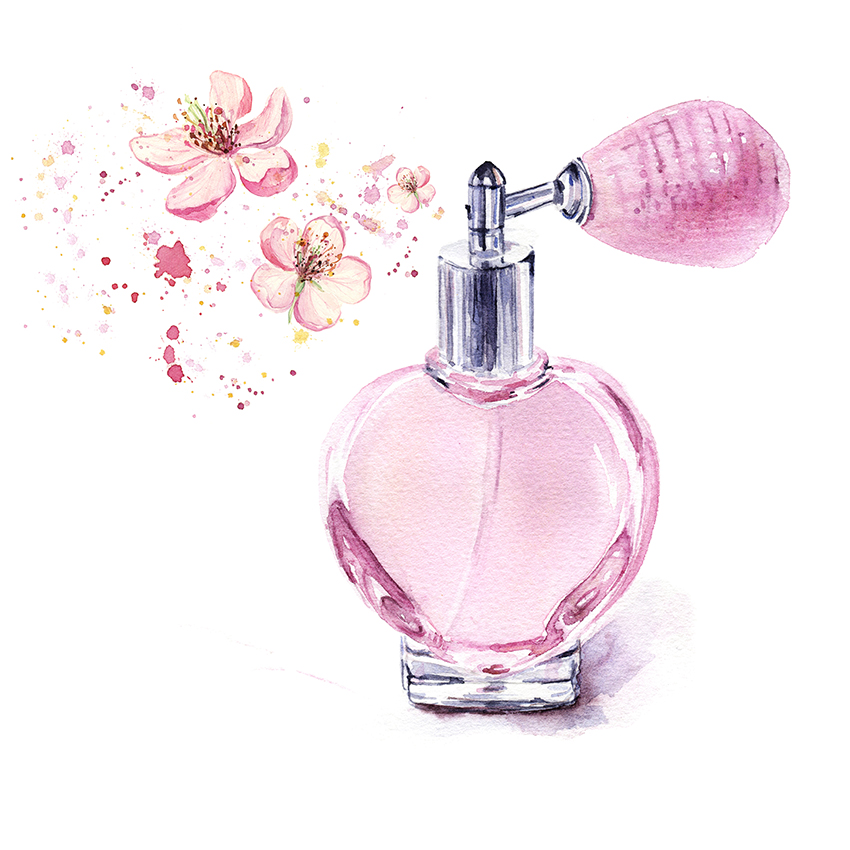 perfume ilustración color rosa