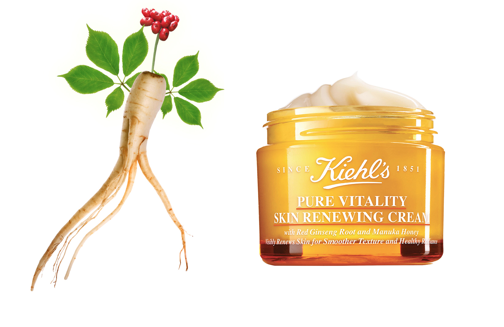 Pure Vitality Renewing Cream. Kiehl's Pure Vitality Skin Renewing Cream