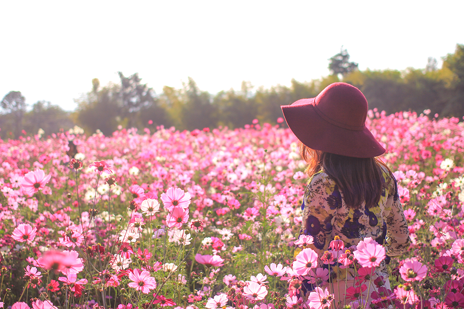 Mujer en campo de flores. fragancias que se rinden a la rosa