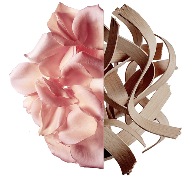 Givenchy Irresistible Eau de Parfum Rose Velvet, ingredientes