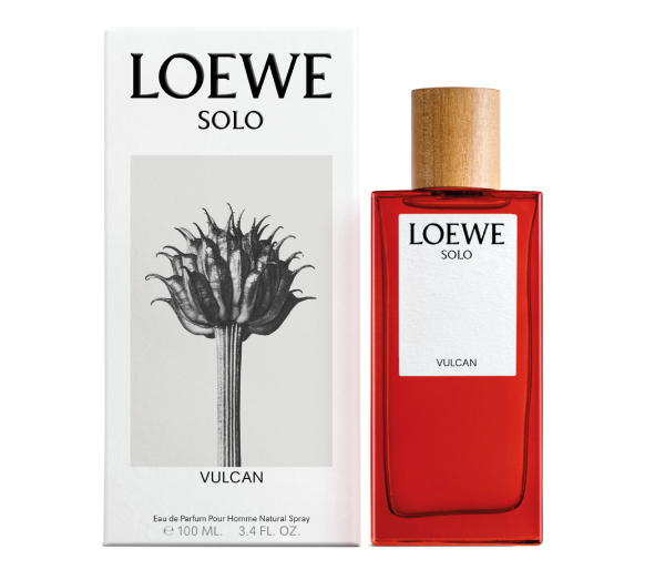 Loewe Solo Vulcan